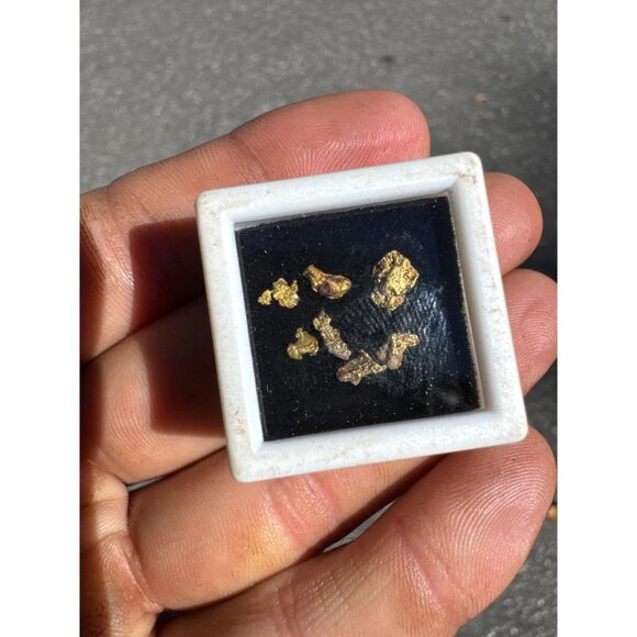 Arizona Gold Nuggets in Display Case - 0.62 grams - Picture 3 of 6